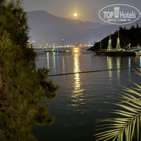 фото из отзыва ID 2700039