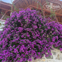 фото из отзыва ID 2700039