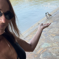 фото из отзыва ID 2700039