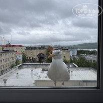 фото из отзыва ID 2700117