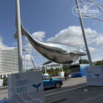 фото из отзыва ID 2700117