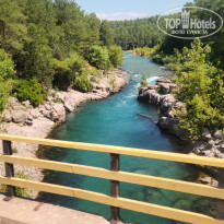 фото из отзыва ID 2700145