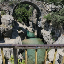 фото из отзыва ID 2700145