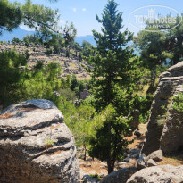 фото из отзыва ID 2700145