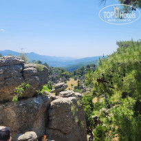 фото из отзыва ID 2700145