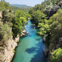 фото из отзыва ID 2700145