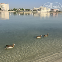 фото из отзыва ID 2700155