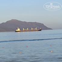 фото из отзыва ID 2700167