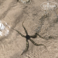 фото из отзыва ID 2700167