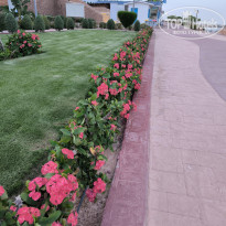 фото из отзыва ID 2700167