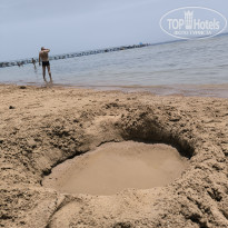 фото из отзыва ID 2700167