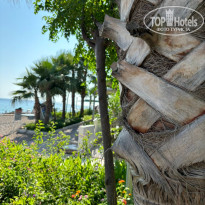 фото из отзыва ID 2700168