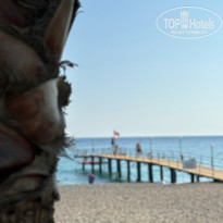 фото из отзыва ID 2700168