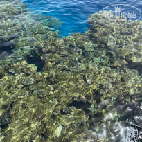 фото из отзыва ID 2700186