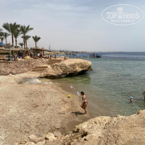 фото из отзыва ID 2700186