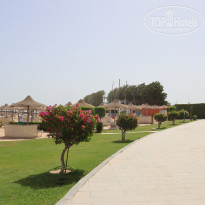 фото из отзыва ID 2700239