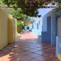 фото из отзыва ID 2700223