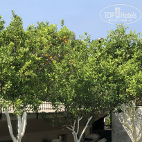 фото из отзыва ID 2700353