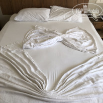 фото из отзыва ID 2700353