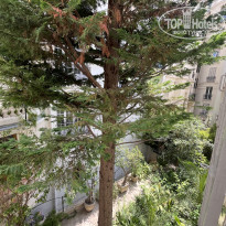 фото из отзыва ID 2700381