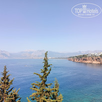 фото из отзыва ID 2700382