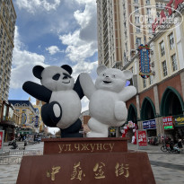 фото из отзыва ID 2700397