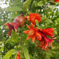 фото из отзыва ID 2700411