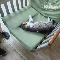 фото из отзыва ID 2700420