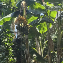 фото из отзыва ID 2700420