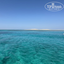 фото из отзыва ID 2700568