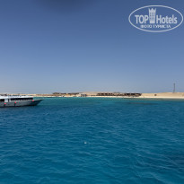 фото из отзыва ID 2700568