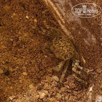 фото из отзыва ID 2700568