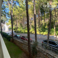 фото из отзыва ID 2700559