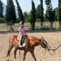 фото из отзыва ID 2700593