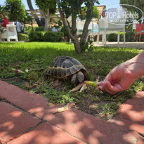 фото из отзыва ID 2700593