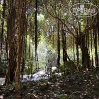 фото из отзыва ID 2700610