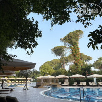 фото из отзыва ID 2700610