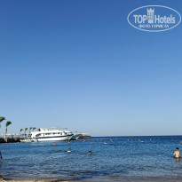 фото из отзыва ID 2700616