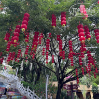 фото из отзыва ID 2700620