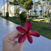 фото из отзыва ID 2700766