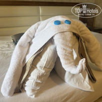 фото из отзыва ID 2700773