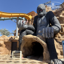 фото из отзыва ID 2700773