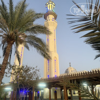 фото из отзыва ID 2700773