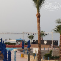 фото из отзыва ID 2700834