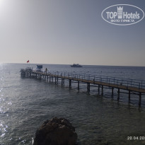 фото из отзыва ID 2700834