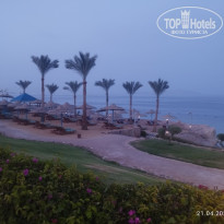 фото из отзыва ID 2700834