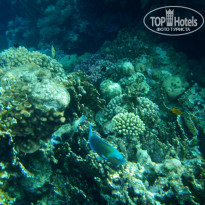 фото из отзыва ID 2700834