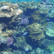 фото из отзыва ID 2700834