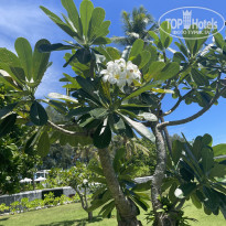 фото из отзыва ID 2700896