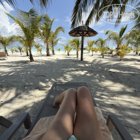 фото из отзыва ID 2700913